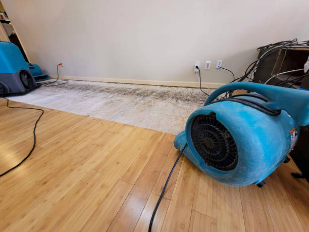 Professional Sewage Cleanup technician working in Butte Des Morts, WI